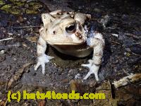 /home//u458753944/public_html/sourcegallery////McKaig Nature Center/2020-10-11/PA110723.JPG